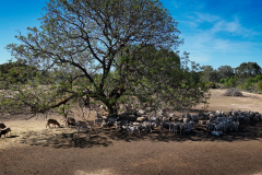 Sequence-01.00_00_02_07.Still002