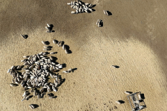 Sequence-01.00_00_14_01.Still005