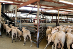 Sequence-01.00_00_39_00.Still008