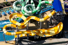 Main-Edit.00_01_04_41.Still006