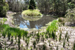 Sequence-01.00_00_24_38.Still003-LR