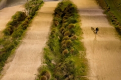 Sequence-01.00_01_04_05.Still002