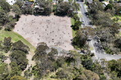 Glenvale