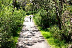 Glenvale-FINAL.00_00_07_33.Still001-LR