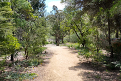 Stanley-Ave-Draft-2.00_00_01_19.Still001-LR