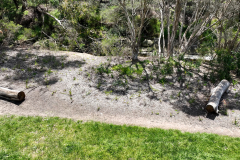 Stanley-Ave-Draft-2.00_00_25_34.Still003-LR