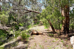 Stanley-Ave-Draft-2.00_00_43_48.Still007-LR