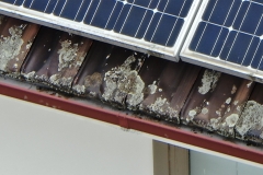 Solar Panels & gutter inspection