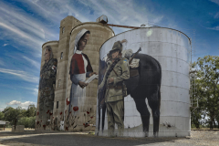 03-Shepparton-Devenish-Silo-8-Edited-WEB-copy-scaled