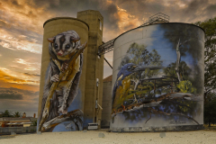 05-Rochester-Silo-Art-5-Edited-WEB-scaled