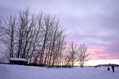 16-Fairbanks-to-Bettles-35-WEB-scaled