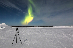 19-Bettles-Auroa-99-WEB-scaled