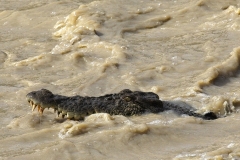07-Arnhemland-Tour-77-EDITED-1