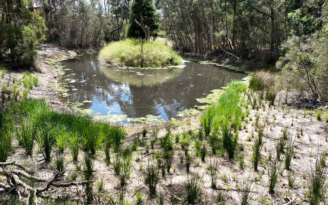 Monash Council Horticultural Services